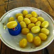 Саженец Кизил Янтарный привитый